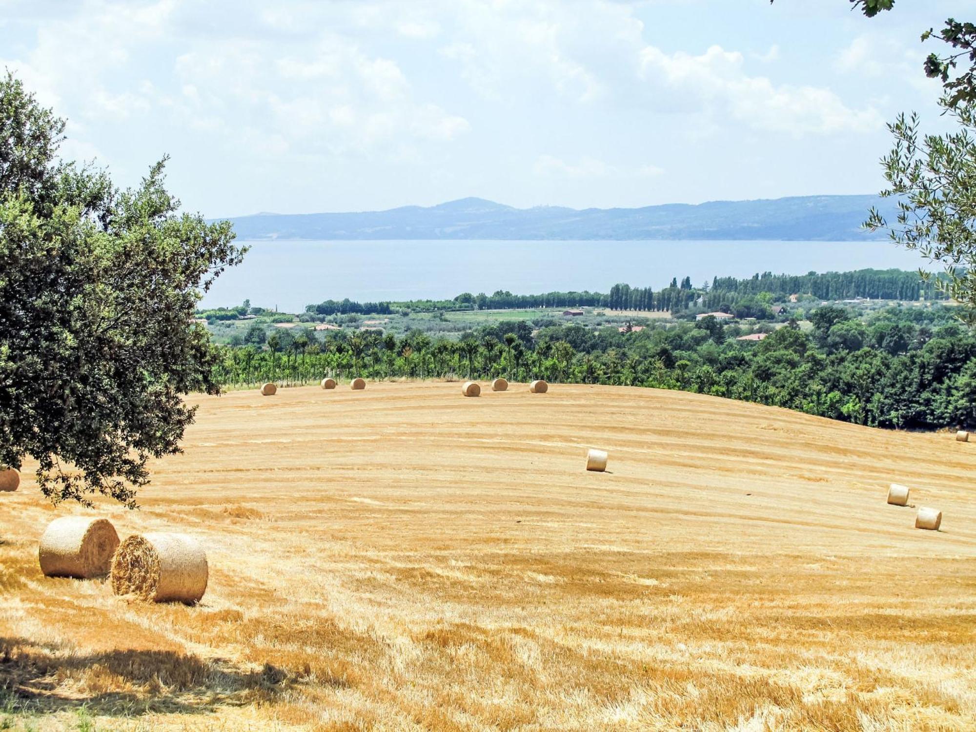 Holiday Home Chalet Del Lago By Interhome Bolsena Exterior foto